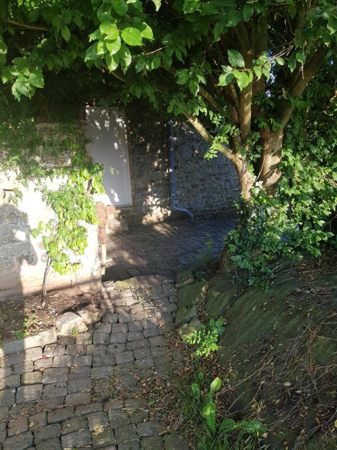 Elevage De La Hurie Saint-Nicolas-de-Pierrepont Eksteriør bilde